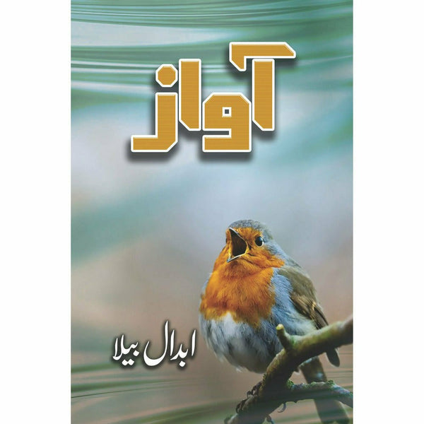 Awaz - Abdaal Bela By Abdaal Bela