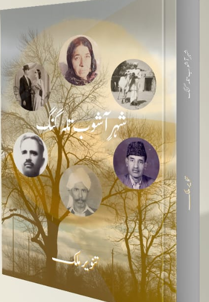 شہر آشوب تلہ گنک از تنوید ملک | Shehar Ashoob Talagang by Tanveer Malik