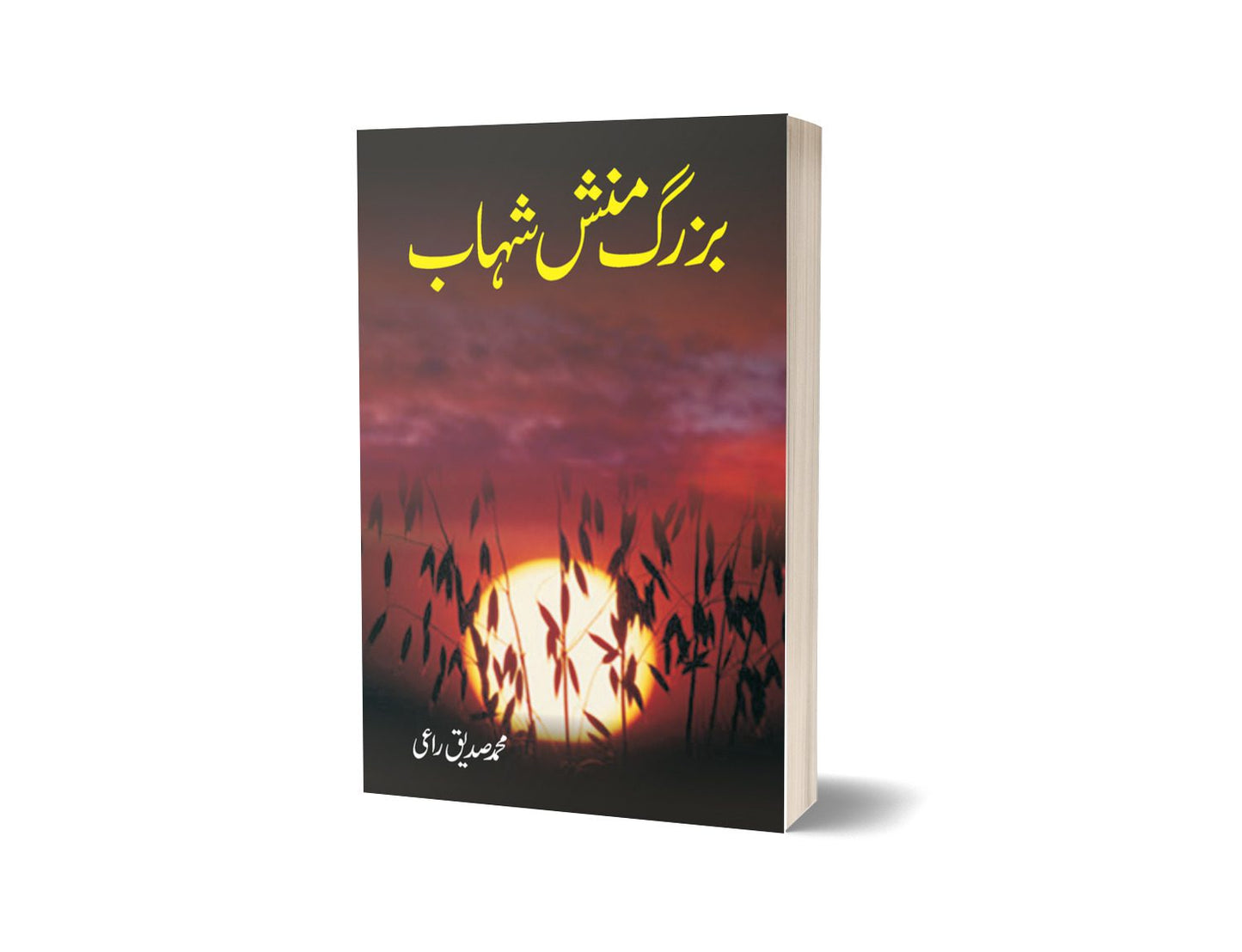 Bazurg Mansh Shahb By Muhammad Sadiq