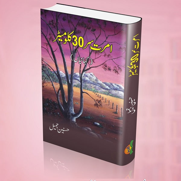 Amratsar-30 kilometer
امرتسر- 30کلومیٹر by Author 
حسنین جمیل