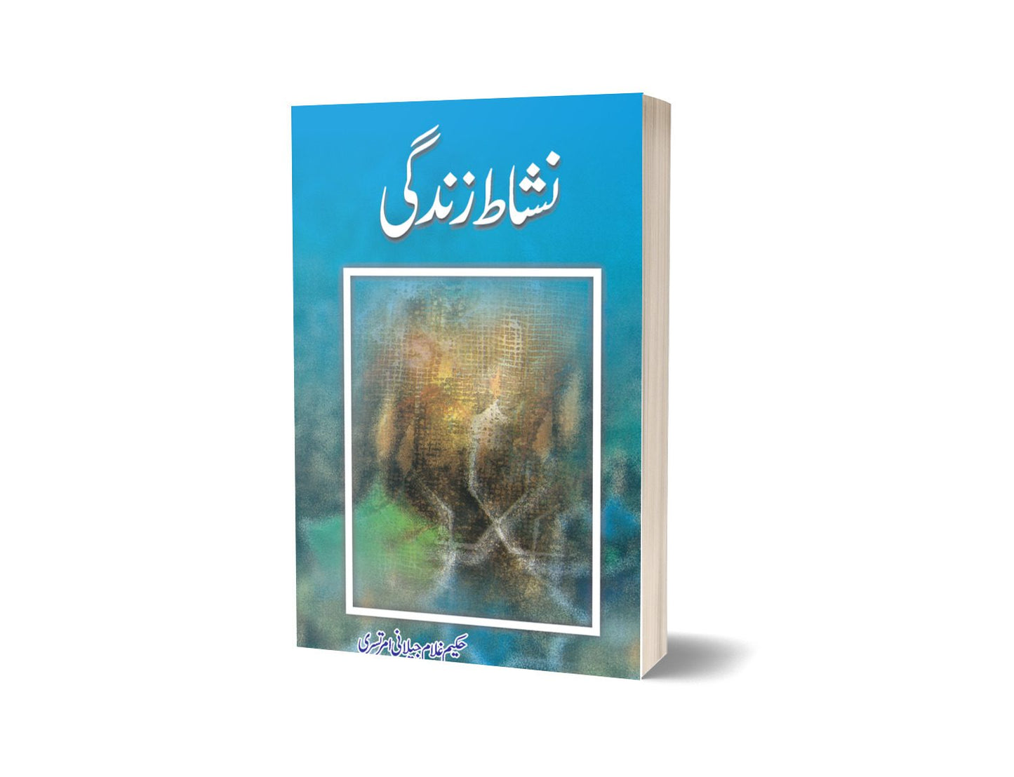 Nishat e Zindagi By Ghulam Jilani