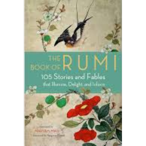 The Book Of Rumi 105 Stories And Fables | Maryam Mafi