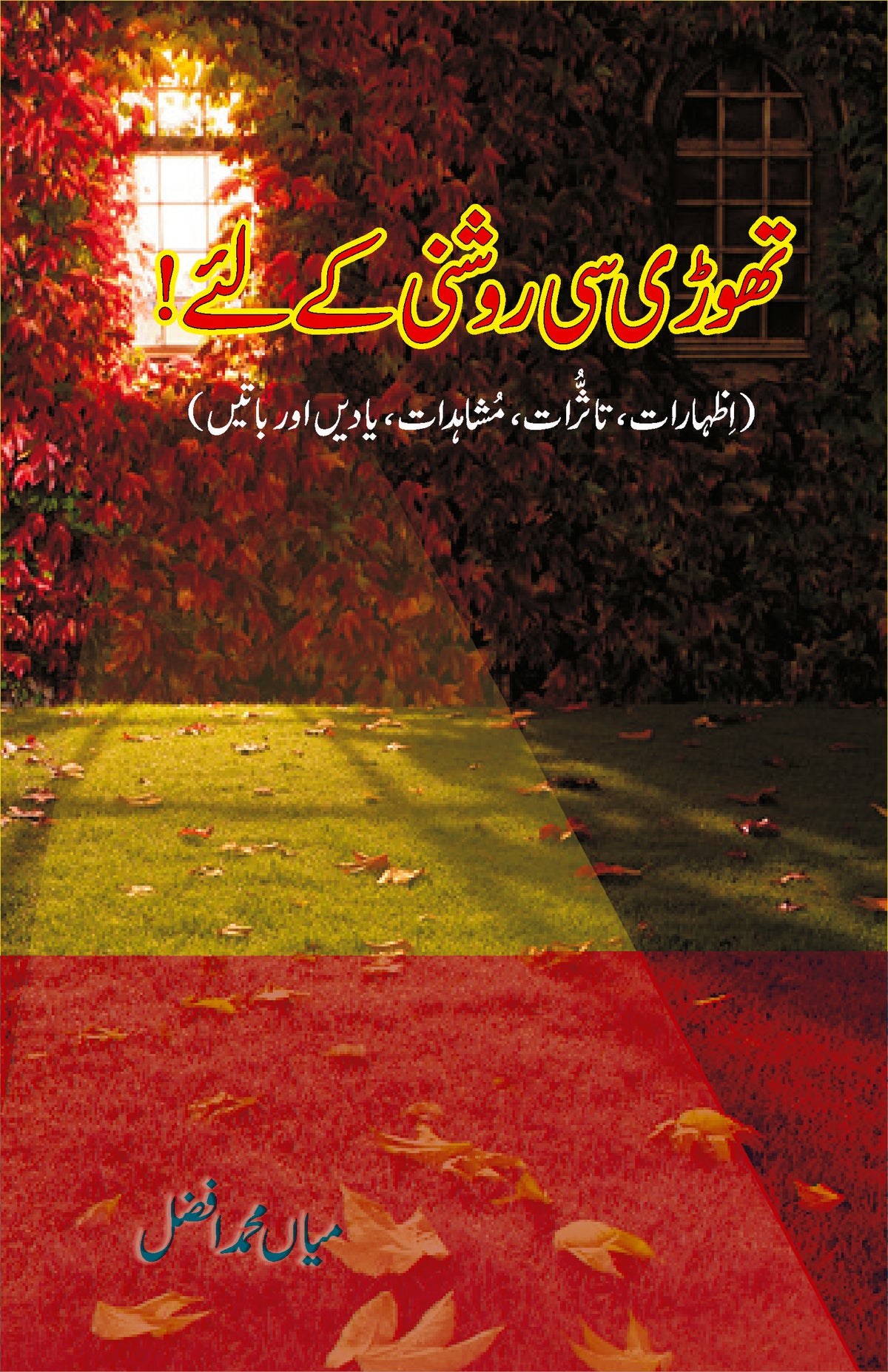 تھوڑی سی روشنی کے لیے از میاں محمد افضل | Thori c roshni Kay leay by Mian Muhammad Afzal
