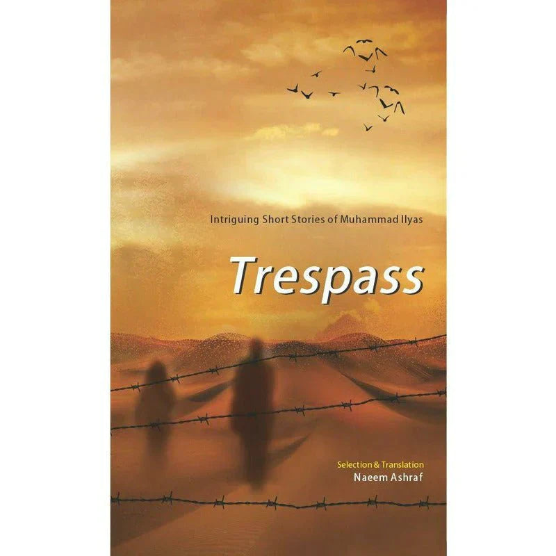 Trespass: Intriguing Short Stories Of M Ilyas /Muhammad Ilyas