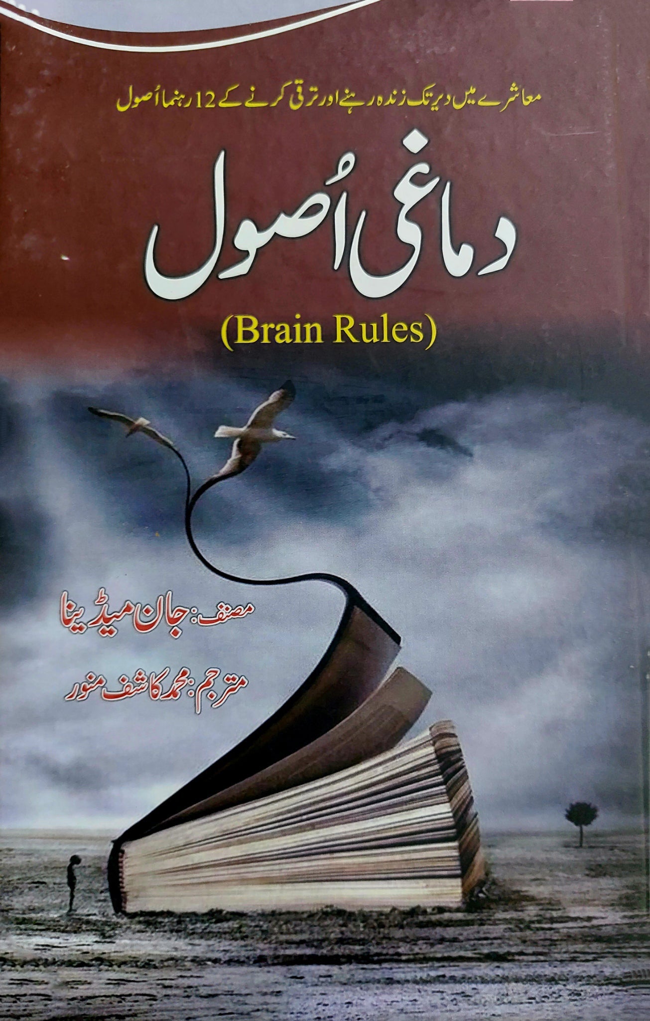 دماغی اصول | Brain Rules