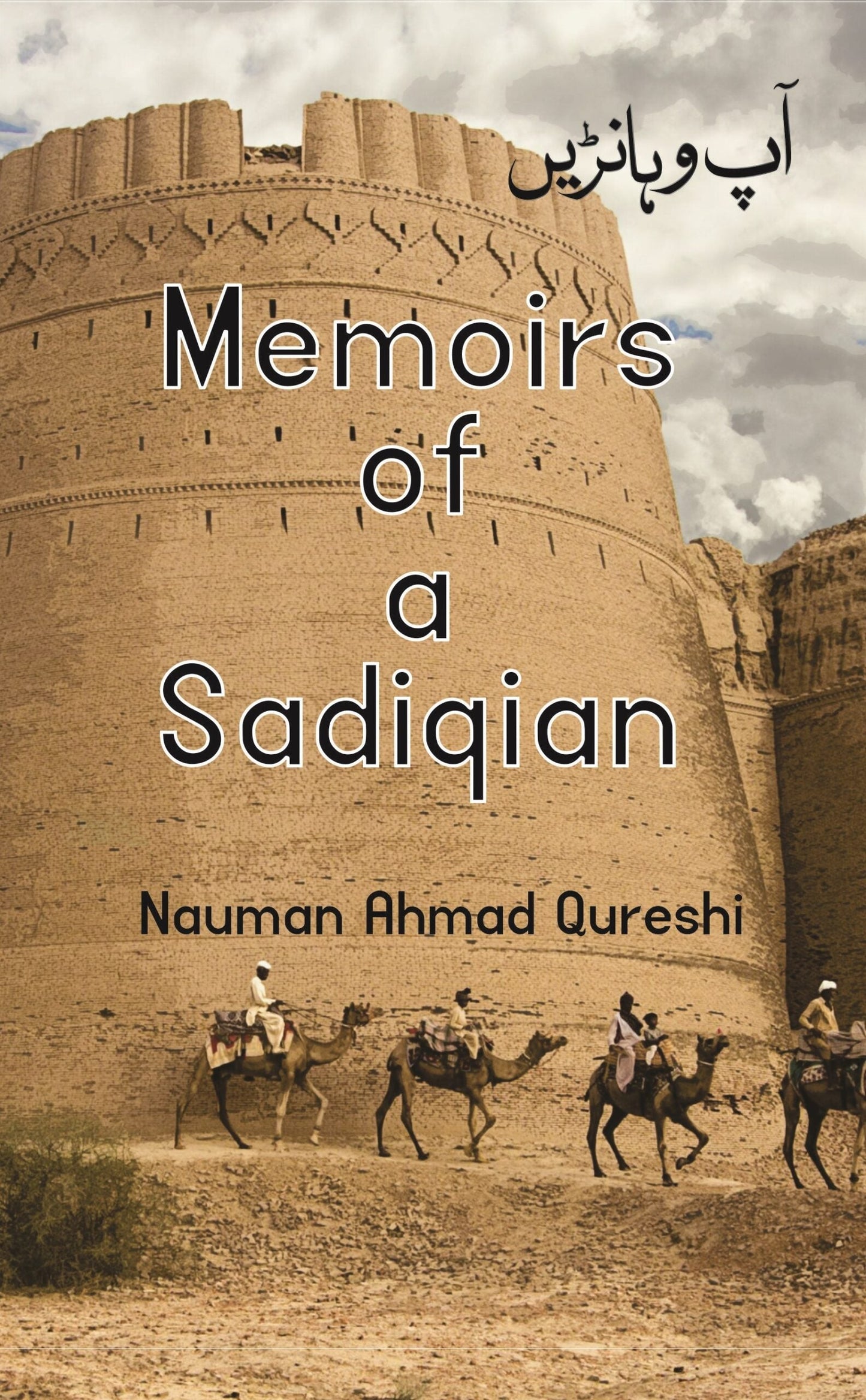 Memoirs of a Sadiqain